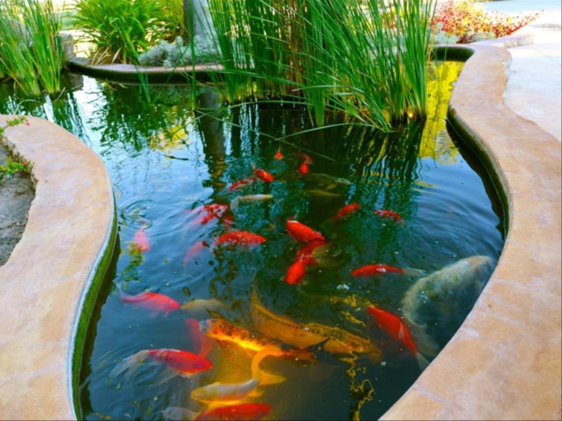 La Rochelle Lodge Namibia צומב מראה חיצוני תמונה